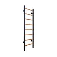 BenchK 200 B/W Wall Bars