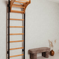 BenchK 211B Wall Bars