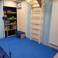 BenchK 211B Wall Bars