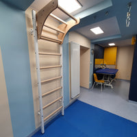 BenchK 211B Wall Bars