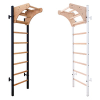 BenchK 211B Wall Bars