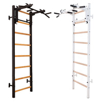 BenchK 231 wall bars