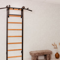 BenchK 231 wall bars