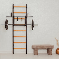 BenchK 231 wall bars