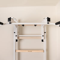 BenchK 233 wall bars