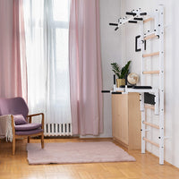 BenchK 232 Wall Bars