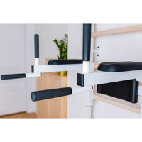 Stall bar for home with pull-up bar and dip station – BenchK 722