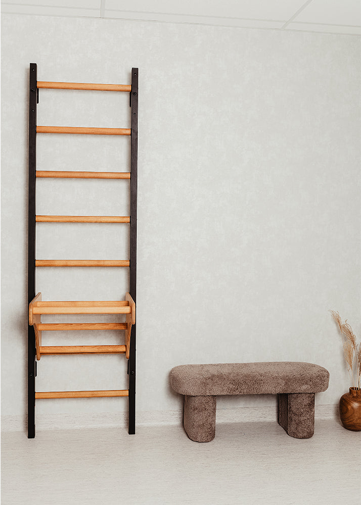 BenchK 211B Wall Bars