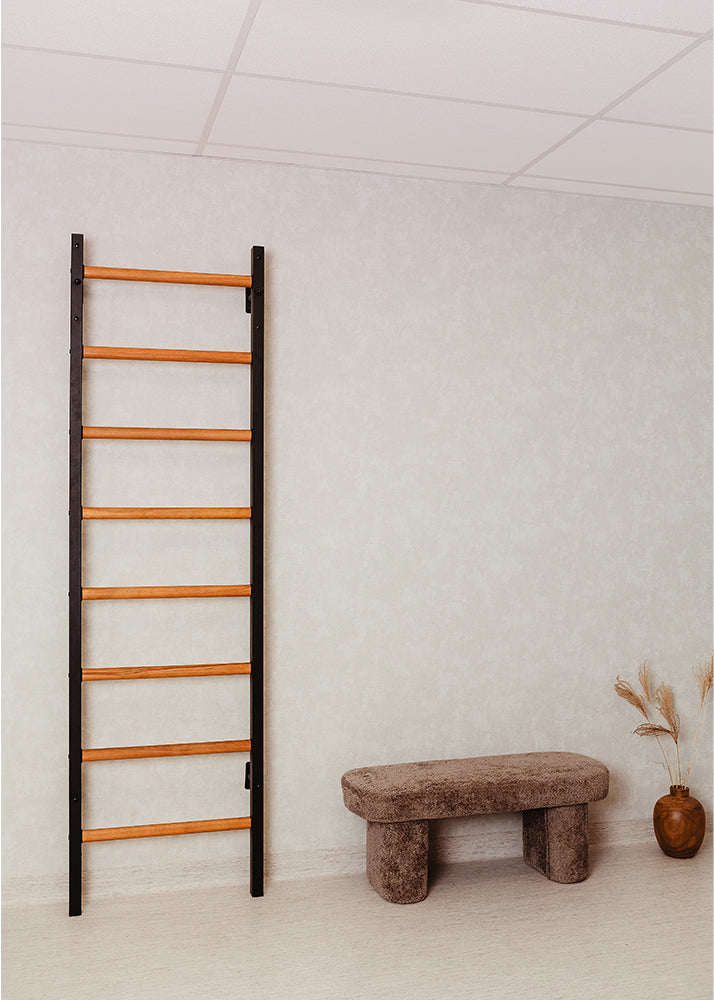 BenchK 200 B/W Wall Bars