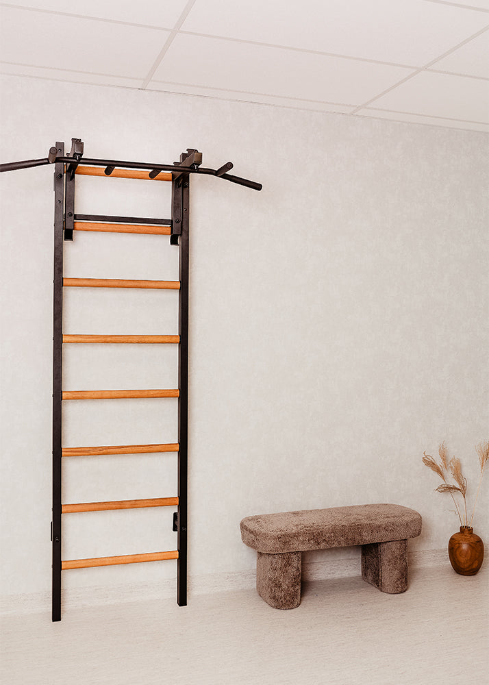 BenchK 231 wall bars