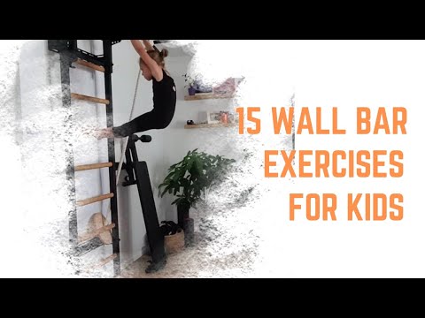 Luxury wallbar for home gym and personal studio – BenchK 733