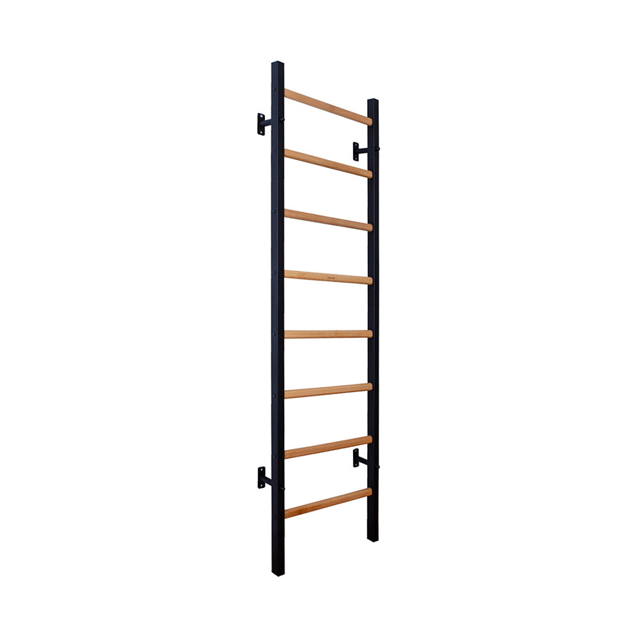 BenchK 231 wall bars